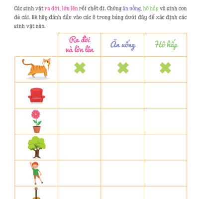 Cuốn Sổ Lớn Montessori - Về Khám Phá Thế Giới (Tái Bản 2023)