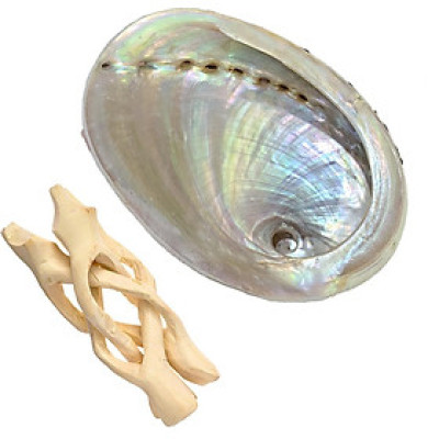 Sét Ốc xà cừ hồng size đại Kèm chân gỗ xoài 4" giá siêu tốt