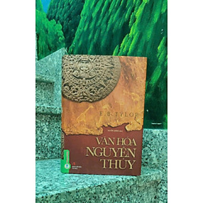 VĂN HÓA NGUYÊN THỦY (Bìa cứng) - E.B. Tylor