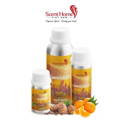 Tinh dầu Scent Homes - mùi hương (Healton)