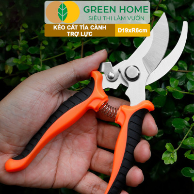 Kéo Cắt Cành GreenHome, D19xR6cm, Tỉa Hoa, Làm Vườn, Thiết Kế Tối Ưu Giảm Lực Tay, Màu Sắc Hiện Đại, Dễ Sử Dụng