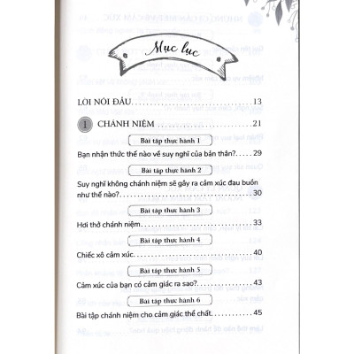 Đừng Để Cảm Xúc  Điều Khiển Cuộc Đời - Vanlangbooks