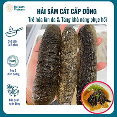 Hải Sâm Cát Supper VIP Làm Sạch & Cấp Đông  (Túi 2 con) - Giàu Collage Type 1, Trẻ Hóa Làn Da, Phục Hồi Vết Thương Nhanh