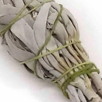 {Bó dùng thử} Xô Thơm Trắng Thanh Tẩy [ White Sage]