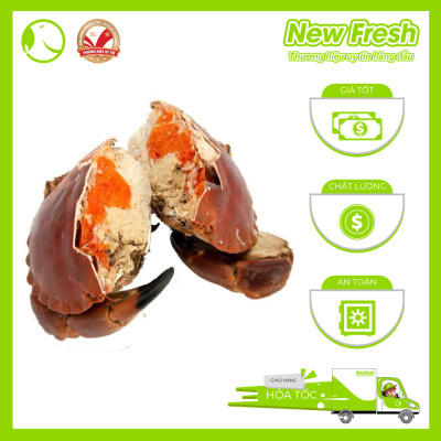 [GIAO NHANH HCM] Cua Nâu Nauy Siêu Gạch Đông Lạnh - 1 Con 1Kg