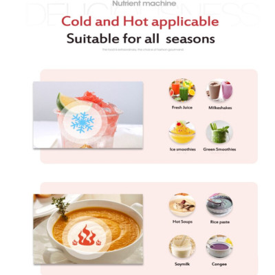 Máy làm sữa hạt (đậu nành, đậu xanh, hạnh nhân, gạo lức…) đa năng nhãn hiệu Biolomix H5300 có  8 chức năng nấu đa dạng - HÀNG NHẬP KHẨU