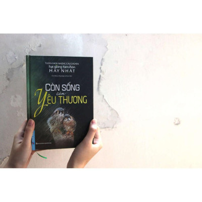 Sách - Còn sống còn yêu thương - First News