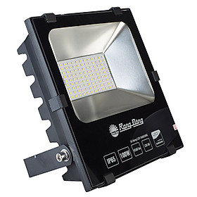 Đèn LED chiếu pha Rạng Đông 100W