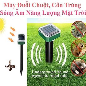 Bảo Vệ Hiệu Quả với Máy Đuổi Chuột Năng Lượng Mặt Trời Hàng Cao Cấp