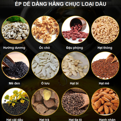 Máy ép dầu thực vật NÓNG LẠNH công nghiệp, dùng trong gia đình, nhà hàng, khách sạn thương hiệu Mỹ cao cấp Septree S9S - Hàng nhập khẩu