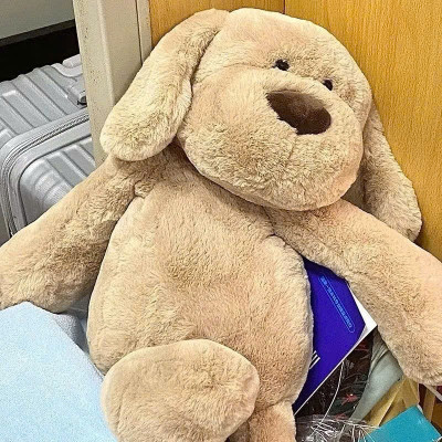 Cún Bông Nâu Tai Dài, Mềm Mại Và Dễ Thương - HÀNG CHÍNH HÃNG MINIIN