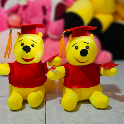 Gấu bông tốt nghiệp nhiều mẫu dễ thương 20cm - Quà tặng gấu bông dễ thương.