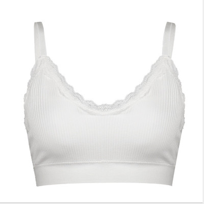 ÁO BRA GÂN TĂM VIỀN REN THỜI TRANG 821