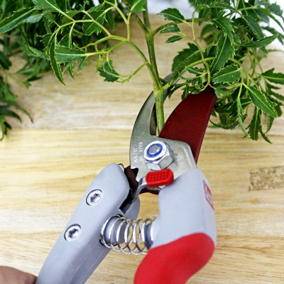 Kéo cắt cành cao cấp Nhật Bản Chikamasa PS-7G chiều dài lưỡi 45mm - lưỡi thép carbon chất lượng cao siêu bén - Cắt ngọt, không bám dính, liền sẹo nhanh