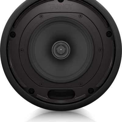 Loa treo Tannoy OCV 6 - 6" Weather Resistant Pendant - Hàng Chính Hãng