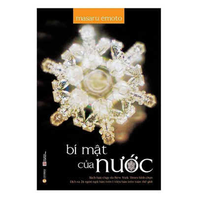 Sách - Thông Điệp Của Nước - Combo 2 Cuốn - Thái Hà Books