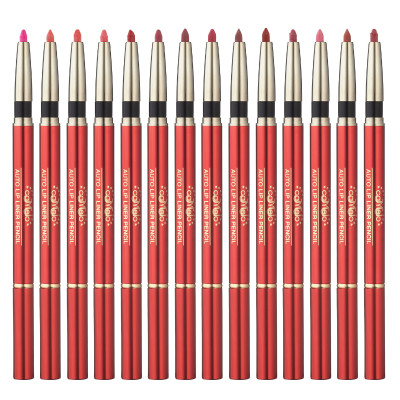 Chì môi 2 đầu Camelo