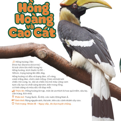 Thảo Cầm Viên Sài Gòn - Kho Báu Trong Lòng Thành Phố