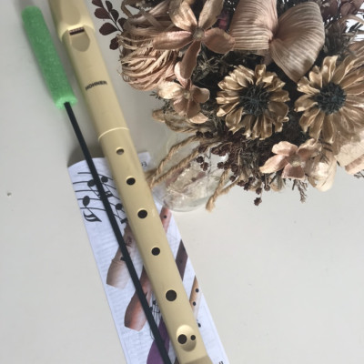 Sáo Dọc Hohner B9508 Soprano