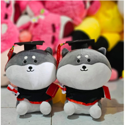 Gấu bông tốt nghiệp nhiều mẫu dễ thương 20cm - Quà tặng gấu bông dễ thương.