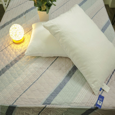 Combo 2 ruột gối cao cấp Mirota Nhật Bản (48 x 74 cm)