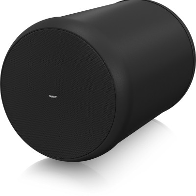 Loa treo Tannoy OCV 6 - 6" Weather Resistant Pendant - Hàng Chính Hãng