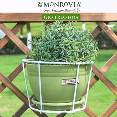 Combo 3 Giỏ treo chậu hoa ban công MONROVIA, giỏ sắt treo chậu hoa ban công, chậu treo ban công, kệ treo ban công, móc treo, khung thép, sơn tĩnh điện chính hãng thương hiệu MONROVIA  - Màu Đen
