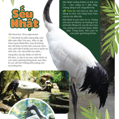 Thảo Cầm Viên Sài Gòn - Kho Báu Trong Lòng Thành Phố