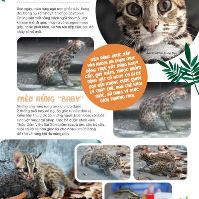 Thảo Cầm Viên Sài Gòn - Kho Báu Trong Lòng Thành Phố