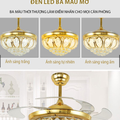 Quạt trần giấu cánh, cánh cụp cánh xòe cap cấp, có đèn trang trí, động cơ DC tiết kiệm điện