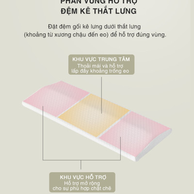 Đệm Gối Kê Lưng Ngủ OFFICE CHILL Đệm Kê Thắt Lưng Cao Su Non Hỗ Trợ Đau Lưng Thoát Vị Đĩa Đệm Bảo Hành 1 Năm