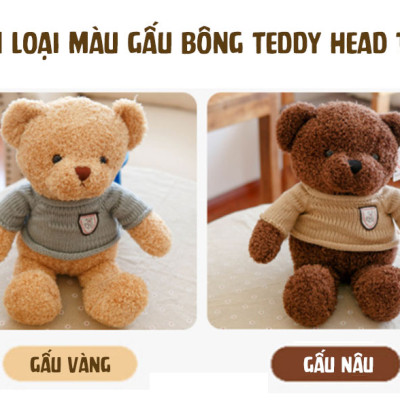 Gấu bông Teddy Head Tales cao cấp - Đồ chơi thú nhồi bông Teddy Head Tales, Chất liệu Bông gòn PP 3D tinh khiết mềm mịn, đàn hồi đa chiều, bền đẹp, an toàn cho người sử dụng