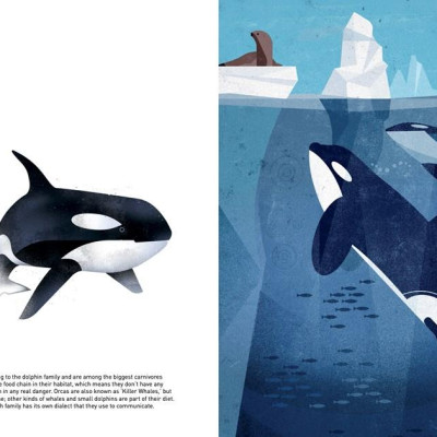 Sách - Wild Animals of the World by Dieter Br.aun (UK edition, hardcover)