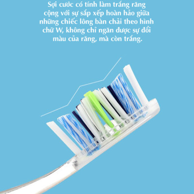 Bàn Chải Đánh Răng Trisa Profilac White