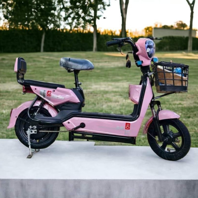XE ĐIỆN SK8