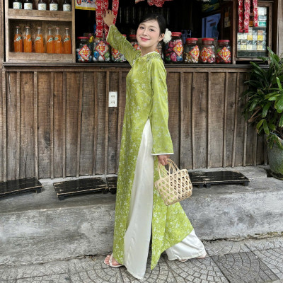 Áo dài cách tân nữ trẻ trung sang trọng có nhiều màu Thanh Hà Miều Est.2013
