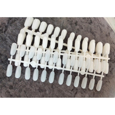 Vỉ Móng Mẫu Form Tròn Học Nail Chuyên Dụng, Bịch 240 Móng, Nhựa Loại 1, Tập Sơn Vẽ Hoạt Hình Làm Nail, Dễ Dàng Tách Ra Nữ Women