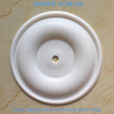 Màng Teflon QBY3-20-25TFLGM