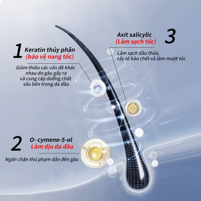 Combo Dầu Gội Sạch Gàu Ngứa + Dâu Xả Giảm Rụng Tóc Pharma 21 Nhật Bản - Chai 600ml