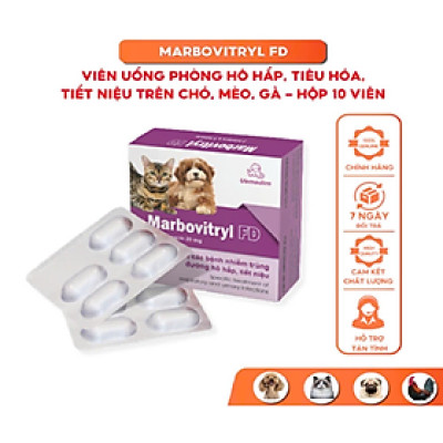 Viên Uống Marbovitryl FD Vemedim Hô hấp, Tiết Niệu, Viêm da Có Mủ cho Chó Mèo