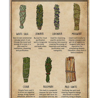 Bó lá xô thơm xanh xông nhà mang may mắn và tài lộc - Blue sage