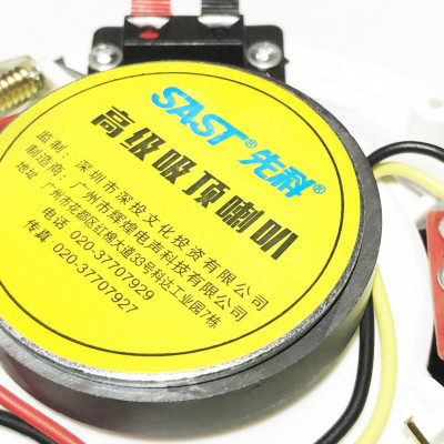 Bộ 02 Loa Âm Trần SAST Công Suất 6W Kích Thước 5 inch Mặt Tròn Lưới Mịn PD - Hàng Nhập Khẩu