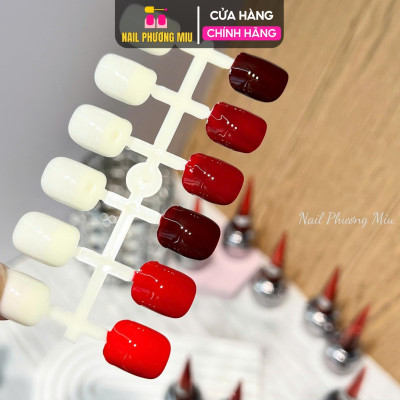 Sơn Gel Đỏ Mxbon Cao Cấp Lẻ Chai 15ml Làm Nail, 6 Tông Màu Đỏ Bóng Mượt Chuẩn Màu, Dễ Sử Dụng Cho Nữ, Siêu Bền Đẹp