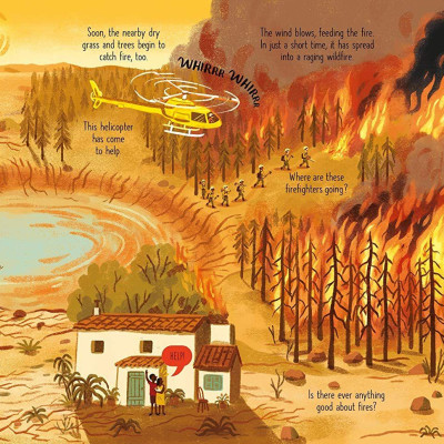 Sách - Look Inside Wild Weather by Emily Bone Bao Luu (UK edition, paperback)