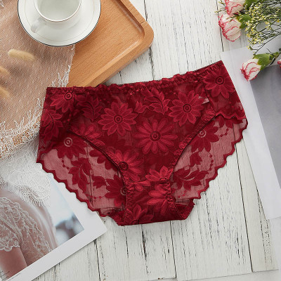 COMBO 5 QUẦN BÔNG ÉP HOA CÚC SEXY 817