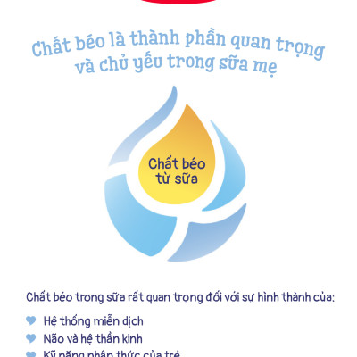 Sữa bột công thức Semper Bifidus số 1 400g