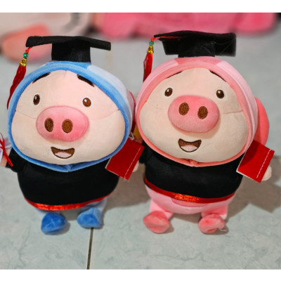 Gấu bông tốt nghiệp nhiều mẫu dễ thương 20cm - Quà tặng gấu bông dễ thương.