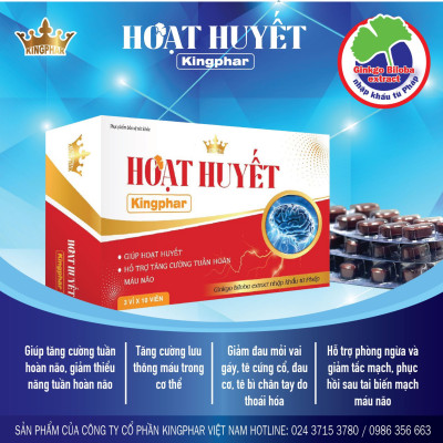Hoạt huyết dưỡng não Kingphar, hộp 30 viên, nguyên liệu nhập Pháp