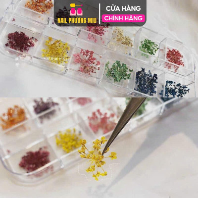 Set Hoa Khô Đắp Gel Ẩn Móng 12 Màu, Trang Trí Nail Độc Đáo, Tạo Hiệu Ứng Đẹp, Chùm Hoa Nhiều, Làm Nail Chuyên Nghiệp Women Nữ Sơn Gel