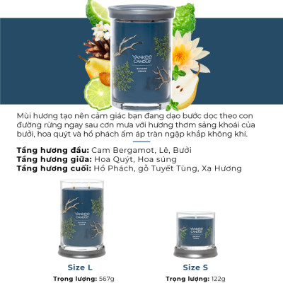 Nến ly tròn sáp đậu nành Yankee Candle size L (567g) - Bayside Cedar